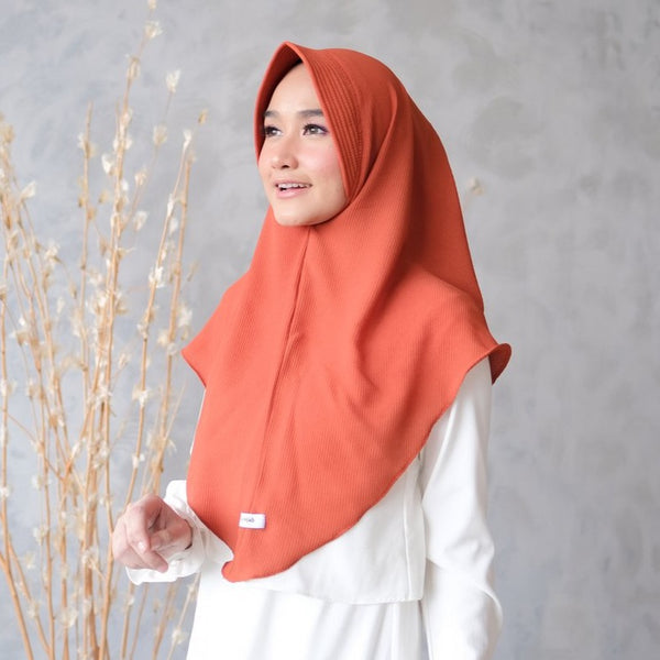 Aiza Instan Brick