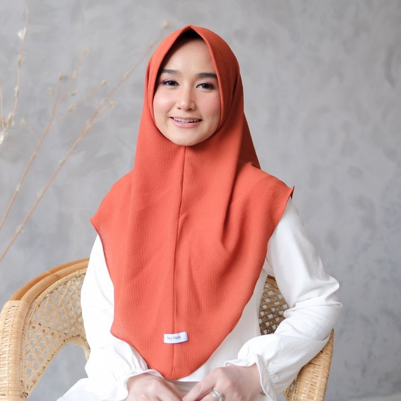 Aiza Instan Brick